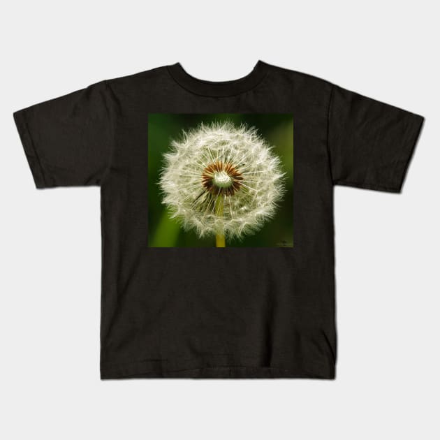 Dandelion Kids T-Shirt by Simon-dell